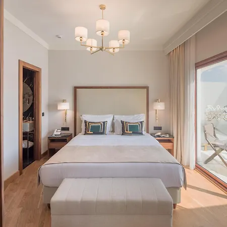 إلكترا بالاس فندق